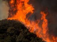 CHATSWORTH, New Jersey (WABC) — Teen Charged with Aggravated Arson After Massive Jones Road Wildfire