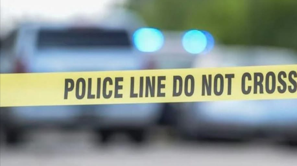 She Was Just Trying to Stop a Fight—But She Didn’t Make It Out Alive